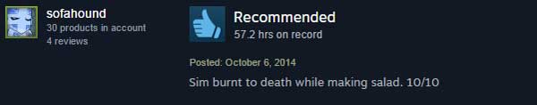 funny-game-review-sims-salad